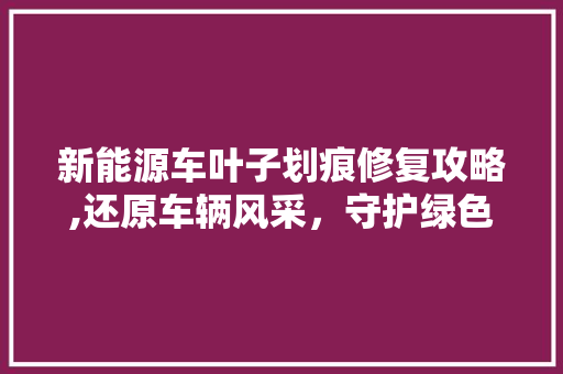 新能源车叶子划痕修复攻略,还原车辆风采，守护绿色出行