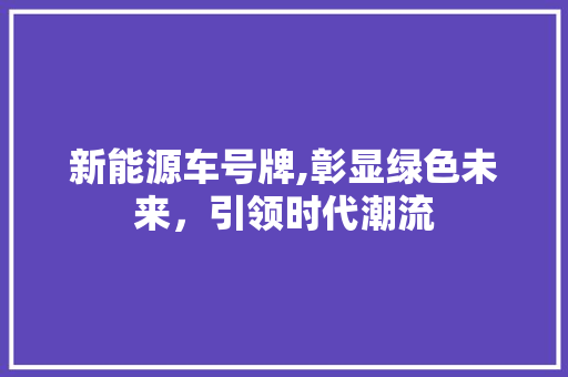 新能源车号牌,彰显绿色未来，引领时代潮流