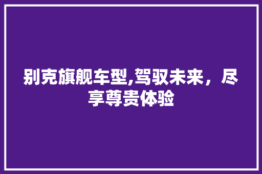 别克旗舰车型,驾驭未来，尽享尊贵体验