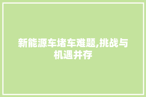 新能源车堵车难题,挑战与机遇并存
