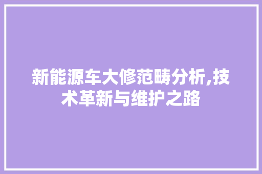 新能源车大修范畴分析,技术革新与维护之路