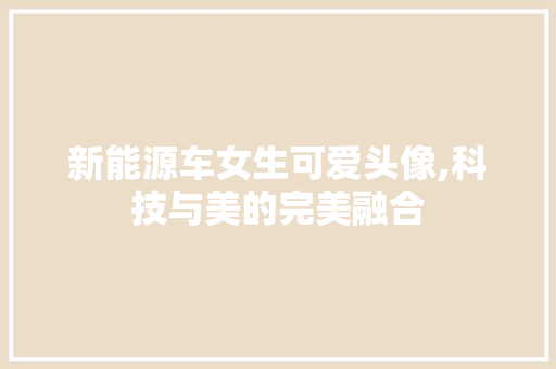 新能源车女生可爱头像,科技与美的完美融合