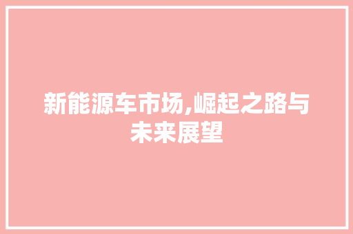 新能源车市场,崛起之路与未来展望