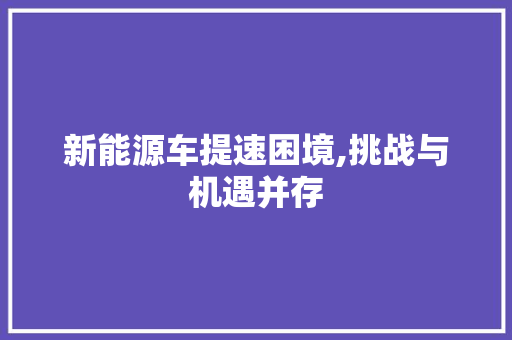 新能源车提速困境,挑战与机遇并存