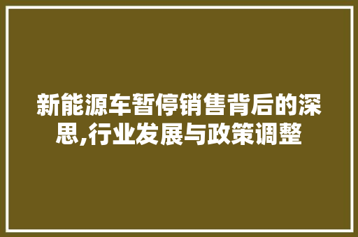 新能源车暂停销售背后的深思,行业发展与政策调整 车身配件