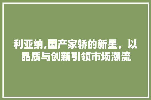 利亚纳,国产家轿的新星，以品质与创新引领市场潮流 车灯配件