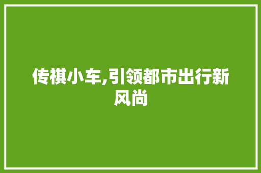 传祺小车,引领都市出行新风尚