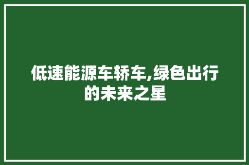 低速能源车轿车,绿色出行的未来之星