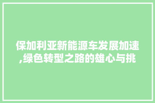 保加利亚新能源车发展加速,绿色转型之路的雄心与挑战