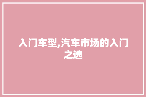 入门车型,汽车市场的入门之选