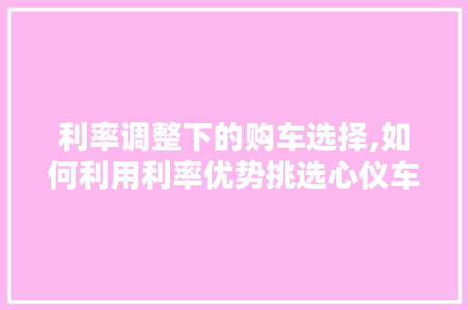 利率调整下的购车选择,如何利用利率优势挑选心仪车型