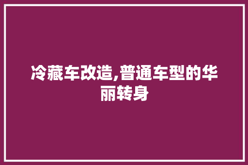 冷藏车改造,普通车型的华丽转身