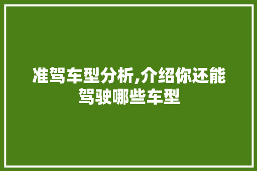 准驾车型分析,介绍你还能驾驶哪些车型