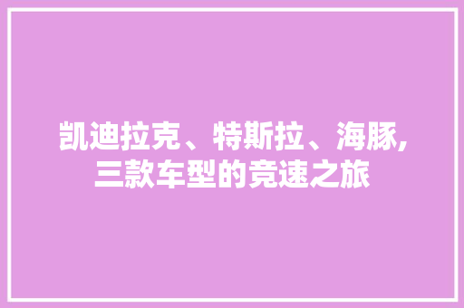凯迪拉克、特斯拉、海豚,三款车型的竞速之旅