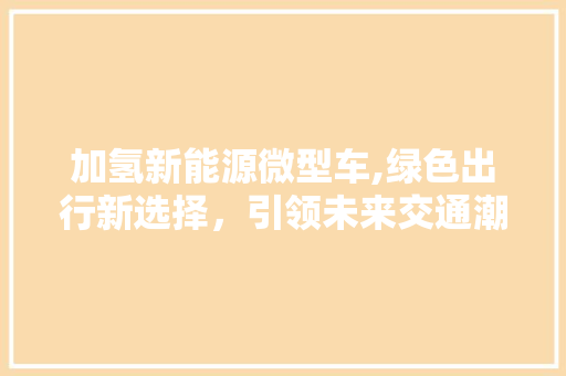 加氢新能源微型车,绿色出行新选择，引领未来交通潮流
