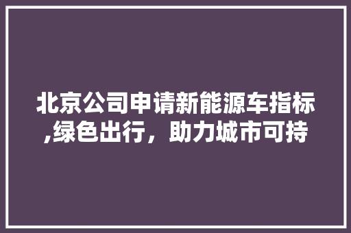 北京公司申请新能源车指标,绿色出行，助力城市可持续发展