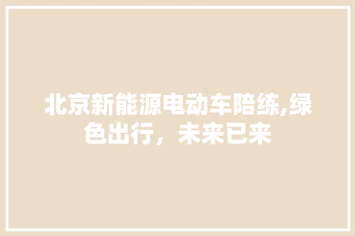 北京新能源电动车陪练,绿色出行，未来已来
