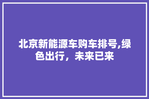 北京新能源车购车排号,绿色出行，未来已来
