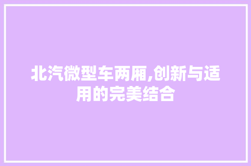 北汽微型车两厢,创新与适用的完美结合