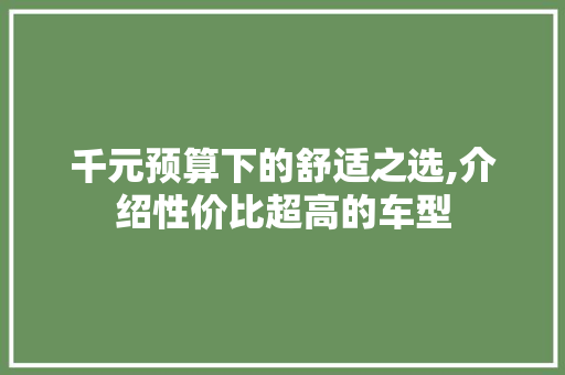 千元预算下的舒适之选,介绍性价比超高的车型