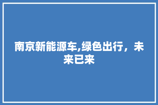 南京新能源车,绿色出行，未来已来