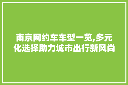 南京网约车车型一览,多元化选择助力城市出行新风尚