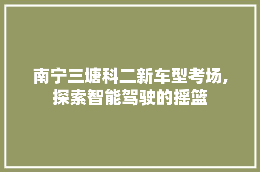 南宁三塘科二新车型考场,探索智能驾驶的摇篮