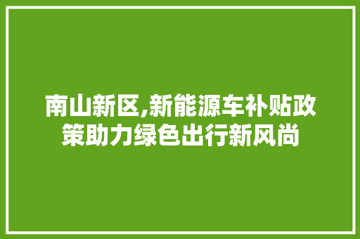 南山新区,新能源车补贴政策助力绿色出行新风尚