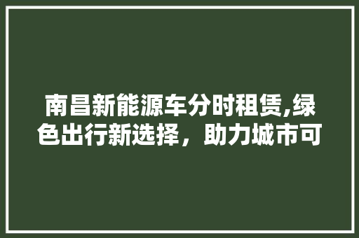 南昌新能源车分时租赁,绿色出行新选择，助力城市可持续发展