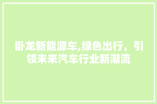 卧龙新能源车,绿色出行，引领未来汽车行业新潮流