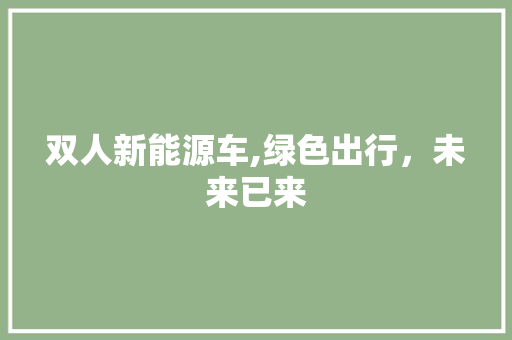 双人新能源车,绿色出行，未来已来
