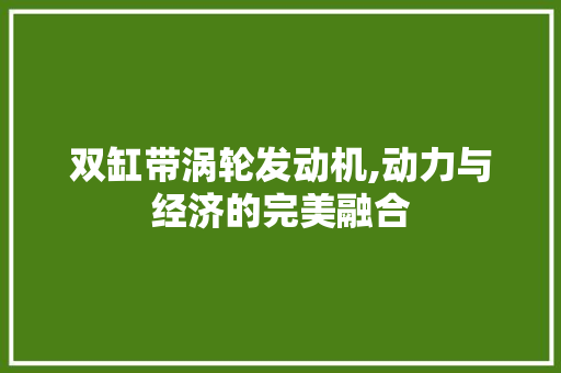 双缸带涡轮发动机,动力与经济的完美融合