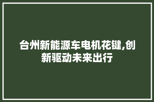 台州新能源车电机花键,创新驱动未来出行