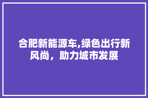 合肥新能源车,绿色出行新风尚，助力城市发展