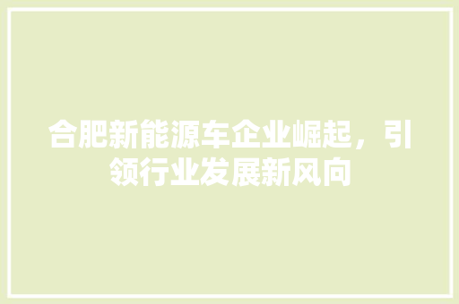 合肥新能源车企业崛起，引领行业发展新风向