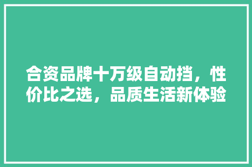 合资品牌十万级自动挡，性价比之选，品质生活新体验