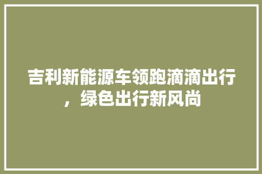 吉利新能源车领跑滴滴出行，绿色出行新风尚