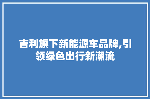 吉利旗下新能源车品牌,引领绿色出行新潮流