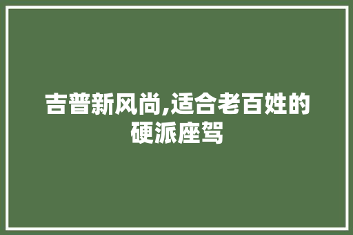 吉普新风尚,适合老百姓的硬派座驾