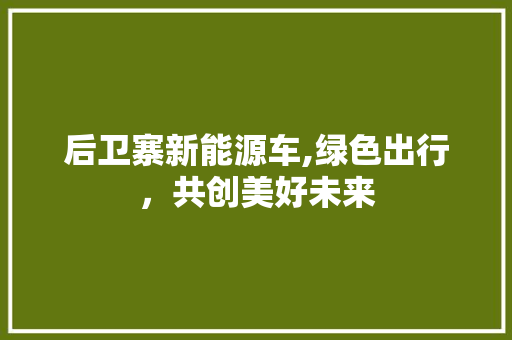 后卫寨新能源车,绿色出行，共创美好未来