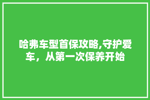 哈弗车型首保攻略,守护爱车，从第一次保养开始