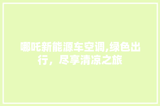 哪吒新能源车空调,绿色出行，尽享清凉之旅