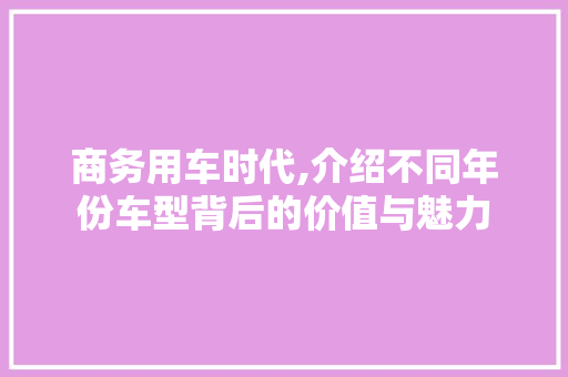商务用车时代,介绍不同年份车型背后的价值与魅力