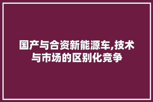 国产与合资新能源车,技术与市场的区别化竞争