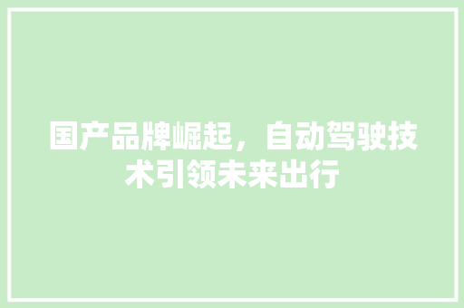 国产品牌崛起，自动驾驶技术引领未来出行