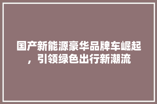 国产新能源豪华品牌车崛起，引领绿色出行新潮流
