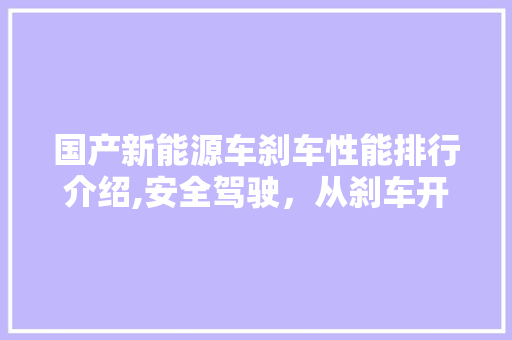 国产新能源车刹车性能排行介绍,安全驾驶，从刹车开始