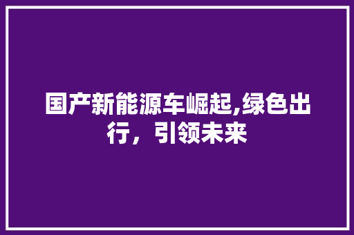 国产新能源车崛起,绿色出行，引领未来