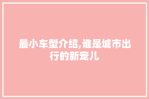 最小车型介绍,谁是城市出行的新宠儿