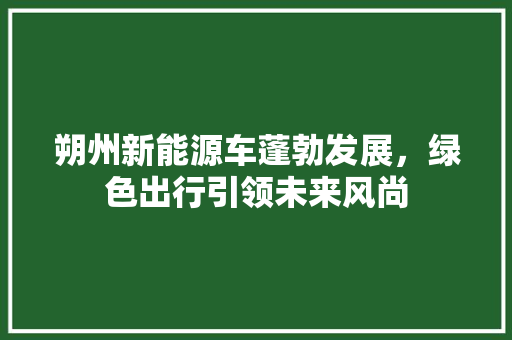 朔州新能源车蓬勃发展，绿色出行引领未来风尚